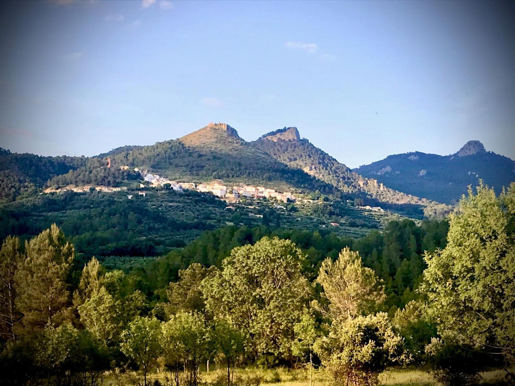 Casas Rurales Los Palenques Villaverde De Guadalimar エクステリア 写真